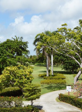 CampoGolfCocotal_3