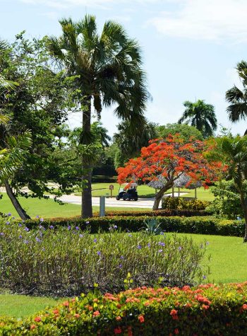 cocotal.garden.suites (3)